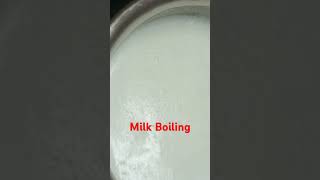 Milk boiling home kitchen work gas flame low carefully gas closing trending video viral [upl. by Tammi]