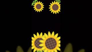 Girasoles por el cielo [upl. by Odom]