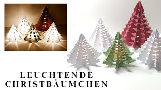 315 Video 🎄Leuchtende Christbäumchen🎄  Weihnachten  Simply Craft  Anleitung  Tutorial  LED🎄 [upl. by Greenman479]