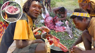 The Remarkable Life Of The Hadzabe Tribe  HuntingCooking And Surviving In The Wild [upl. by Rett]