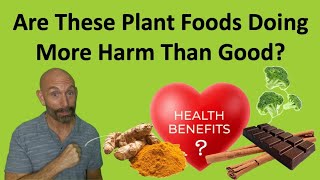 Are These Plant Foods Doing More Harm Than Good plants antinutrients [upl. by Symons]