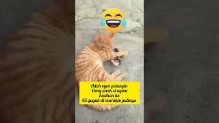 si oyen bikin ulah [upl. by Garris]