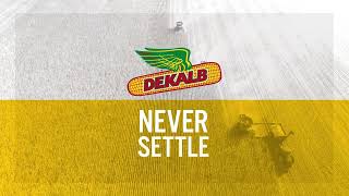 DEKALB® brand Always innovate Never settle 30 [upl. by Tloh]