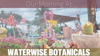 Waterwise Botanicals Bonsall California [upl. by Reede]