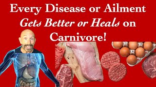 How Every Disease Can Heal on a Carnivore Diet disease heal [upl. by Curzon]