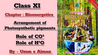 Arrangement of Photosynthetic pigments  Role of CO2 and H2O  Bioenergetics By Umm e Aiman [upl. by Leihcim841]