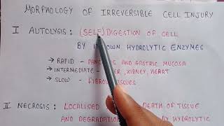 Autolysis of cell  Autolysis in pathophysiology  morphology of irreversible cell injury [upl. by Amek]