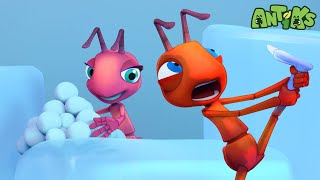 Icy Ants 🥶  Antiks  Science and Nature Cartoons For Kids Moonbug Kids [upl. by Chrissie]