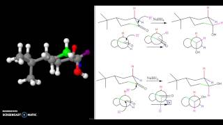 NaBH4 reduction of tbutylcyclohexanone [upl. by Else]