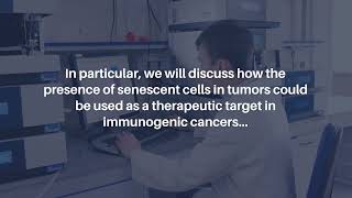 Senescent Cell Vaccines Immune Response Against Cancer amp Aging  AgingUS [upl. by Krista]