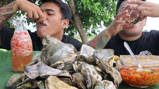 FRESH TALABA  UNI SEA URCHIN MUKBANG  FRESH OYSTER MUKBANG HD [upl. by Ahsinoj747]