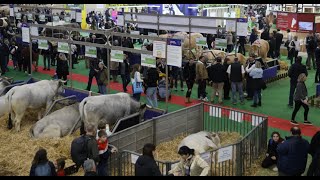 Au Salon de lAgriculture les producteurs laitiers interpellent lEurope [upl. by Odlanor]