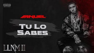 Anuel AA  Tu Lo Sabes Visualizer Oficial  LLNM2 [upl. by Onid]