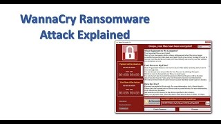 WannaCry Ransomware Explained [upl. by Akahs]