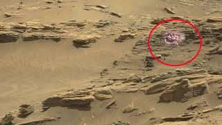 Perseverance Rover Captured a New Video Footage of Mars  New Mars Video [upl. by Sande]