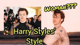 The Life and Controversies of Harry Styles A Modern Icons Journey [upl. by Eevets]