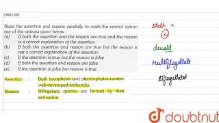 Assertion Both bryophytes and pteridophytes contain welldeveloped antheridia Reason [upl. by Wei]