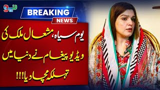 Mishaal Malik releases a video message after India abrogates Article 370 35A [upl. by Eybbob]