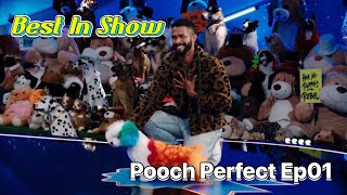 Gabriel Feitosa Best In Show  Pooch Perfect Ep 01 [upl. by Elisee]