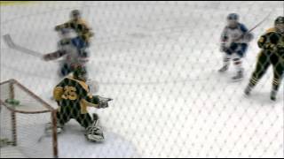 District Semifinal St Francis vs Perrysburg High School Hockey at Tam O Shanter 2262016 [upl. by Aguayo211]