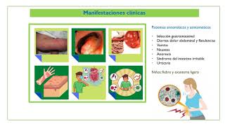 Blastocystis hominis [upl. by Nadabus]