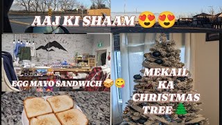 Aaj ki ShaamEgg mayo sandwichmekail ka Christmas treeCanadahomevlogs [upl. by Naamana]