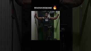 Testosterone🔥 MuscleGrowth StrengthTraining FitnessMotivation backworkout arms fyptrending [upl. by Manwell]