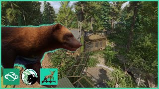 The ever hungry WOLVERINE  Raven Creek Park  Planet Zoo  44 [upl. by Romeyn]