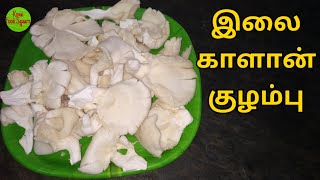 இலை காளான் குழம்புIlai Kalan Recipe in TamilIlai Kalan Kulambu in TamilIlai Kalan GravyKFS24 [upl. by Ikik]