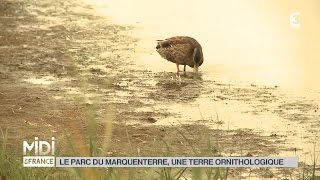 ANIMAUX  Le parc du Marquenterre une terre ornithologique [upl. by Lenci]