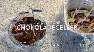 Cellechokolade  Lav modeller af plante og dyreceller med chokolade og slik [upl. by Isteb]