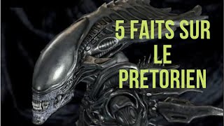 5 FAITS SUR LE XENOMORPHE PRETORIEN [upl. by Giusto577]