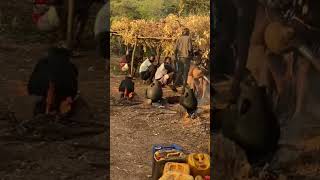 Omo valley Hamer tribe drink Ceremony omo viralvideo [upl. by Lanevuj]