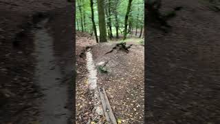 Spannende Wanderwege Elbsandsteingebirge Gohrisch  Nice Hiketrail Saxony [upl. by Aicelf]