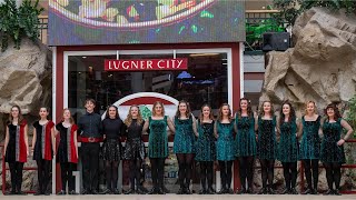 StPatricks Day 2023 Lugner City  Shamrock Dance Company Vienna [upl. by Kcajyllib]