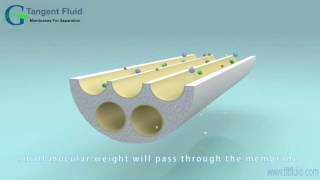 Crossflow Filtration of Ceramic Membrane [upl. by Mulligan]