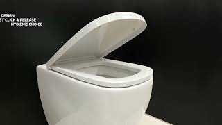 Laufen Palomba New White Slim Removable Soft Close Toilet Seat  Italtile [upl. by Jamin31]