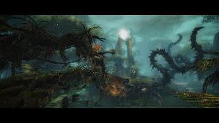 Journey into the Heart of Maguuma in Guild Wars 2 Heart of Thorns [upl. by Airdnat]