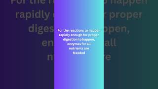 HOW DOES DIGESTION HAPPEN digestivesystem gastrin cck enzymes acid pH [upl. by Boser]