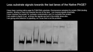 Native PAGE Polyacrylamide Gel Electrophoresis Troubleshooting [upl. by Darryn714]