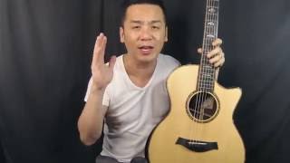 NEW 2016 Taylor 914CE revoice Guitar Review in Singapore [upl. by Meng]