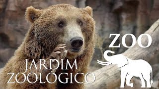 Lisbon Zoo  Bears amp Birds  Portugal HD [upl. by Aicirtam]