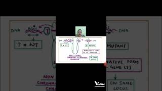 GENES AND ALLELES shorts BSC MSC ZOOLOGY LIFE SCIENCE SET LIFE SCIENCE CUET PG UPSC CSIRNET [upl. by Matless959]