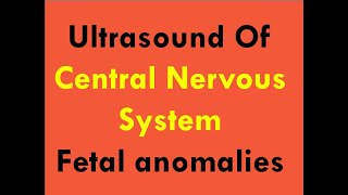 Ultrasound of CNS foetal anomalies [upl. by Nalra]