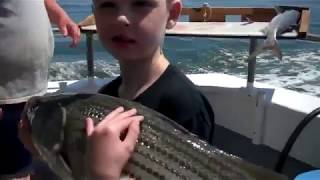 Black Hawk Fishing Charters  Niantic Connecticut [upl. by Elie]