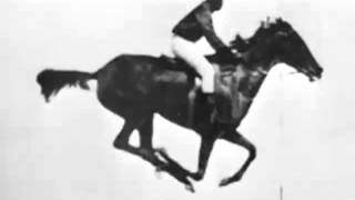 The horse in motion Eadweard Muybridge 1878 First Film Ever [upl. by Analim]