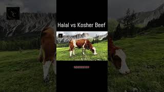 halal vs kosher beef [upl. by Joo]