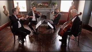 Skyfall  James Bond  Stringspace String Quartet [upl. by Eirrej]