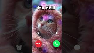 Molli ringtone catphones smartphone ringtones funny cattraining catcommunication cute cat [upl. by Ajup]