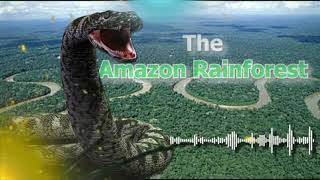 The Amazon Rainforest A Comprehensive Overview  Audio  Factcow  audio story [upl. by Ibok]